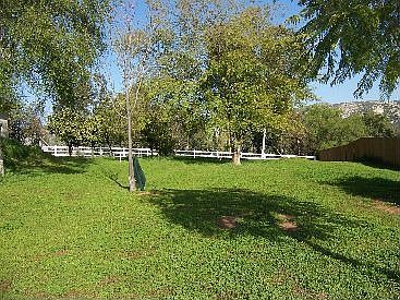 4th image of 832 Olive Ave