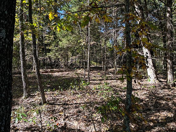 2nd image of 000 County Road 636