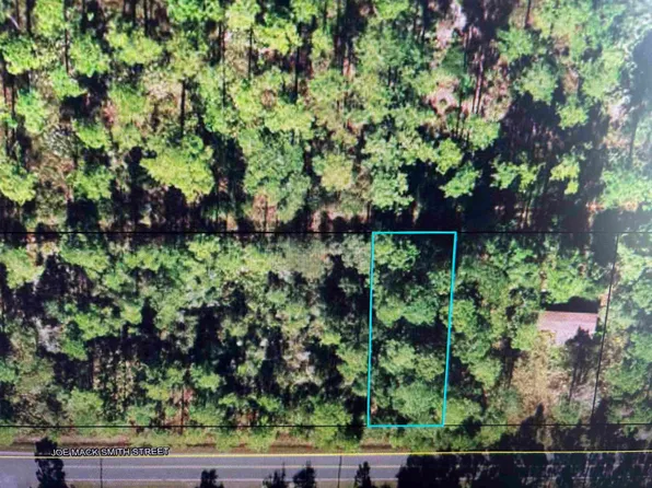 Xx Joe Mack Smith St #1, Panacea, FL 32346
