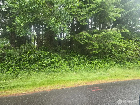 563 Weatherwax Loop NE, Ocean Shores, WA 98569