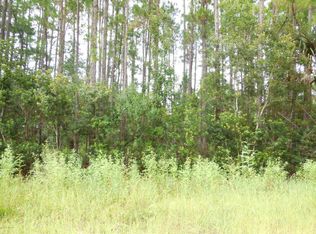 114 Domingo Rd, Satsuma, FL 32189