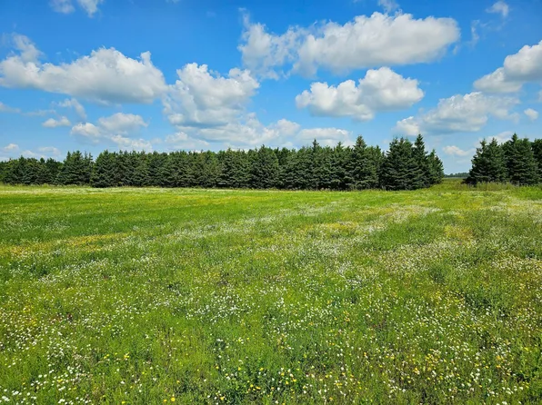 334XX County Highway 77, Wadena, MN 56482