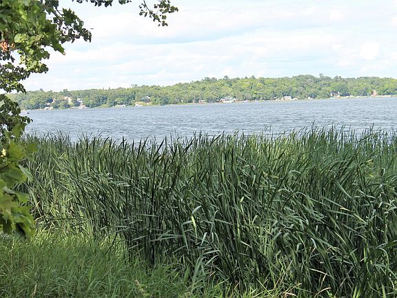 5th image of 11999 Lake Maud Trl