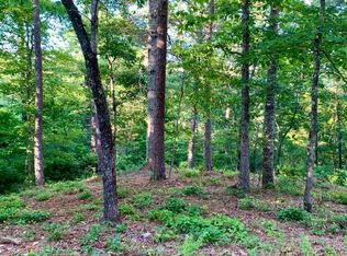 LOT 27 Solo View Dr, Warne, NC 28909