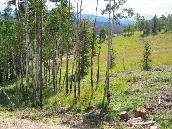 1996 Pioneer Trail, Fraser, CO 80442