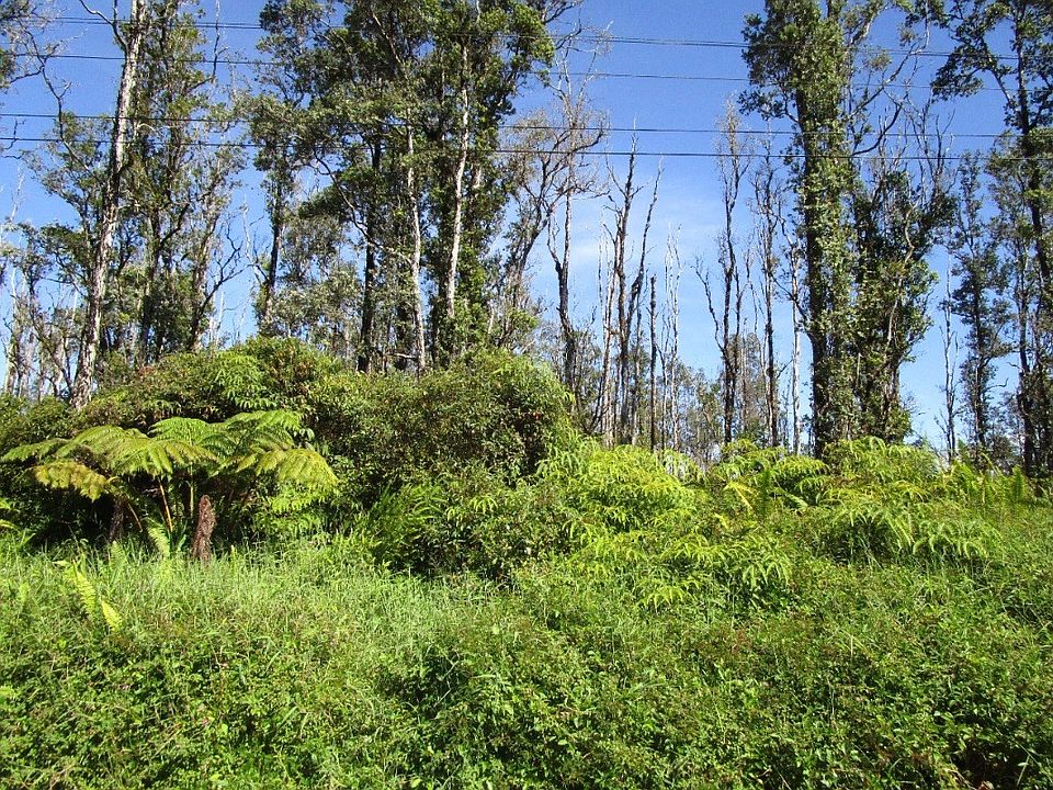 1st image of Bamboo Dr Lot 85
