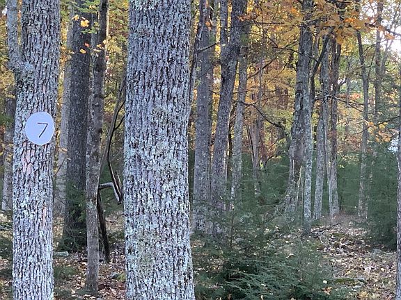 3rd image of LOT 7 Crescent Lake Cove Ct