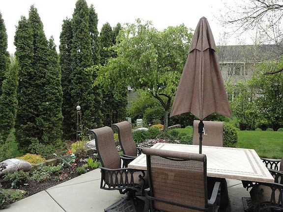 View out Patio Door