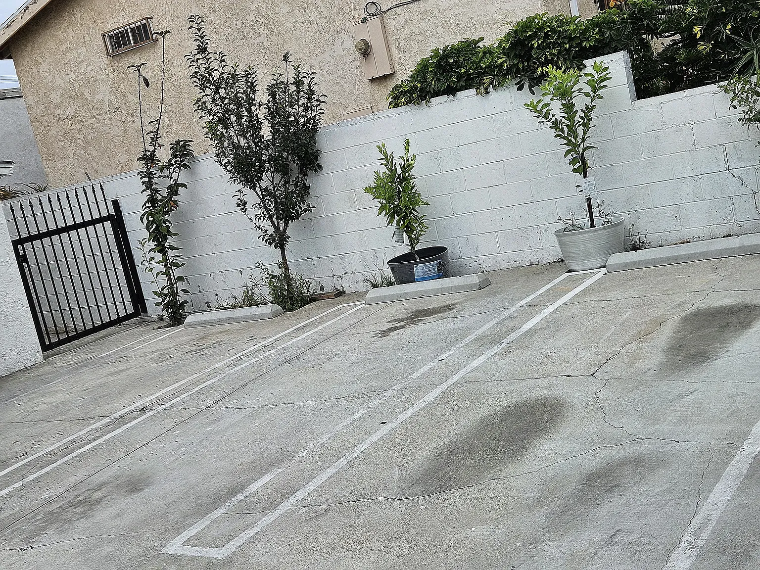 1 bed, 750 sqft, $2,000 — Photo 2