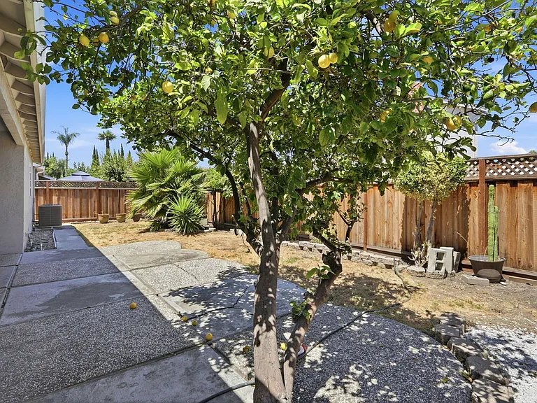 663 Albion Dr — Photo 36