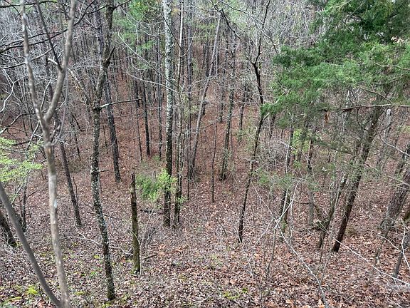 4th image of 0 Macedonia Rd