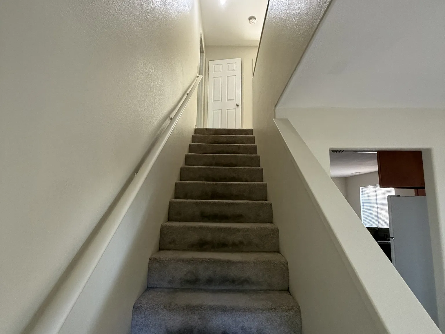 1746 Mount Olive Drive - 1 — Photo 2