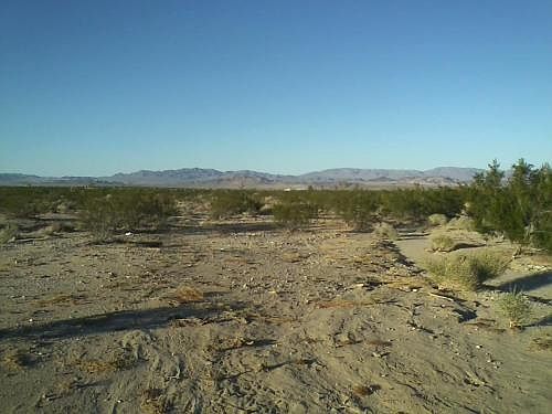 3rd image of 77552 Twentynine Palms Hwy