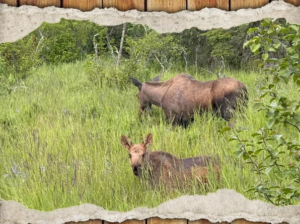 66307 Lothrop Park Dr, Ninilchik, AK 99639