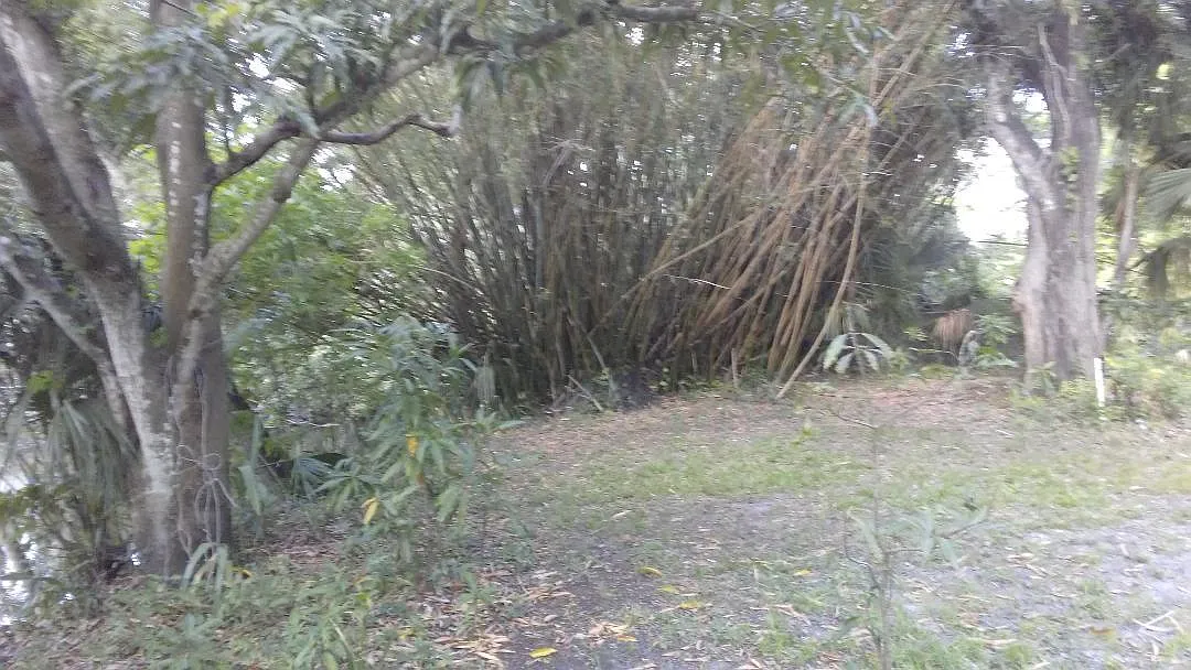 Tennessee St, Bonita Springs — Photo 4