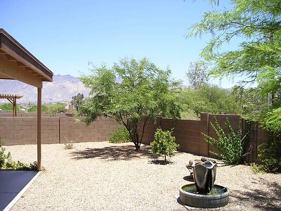 Backyard Mountain View