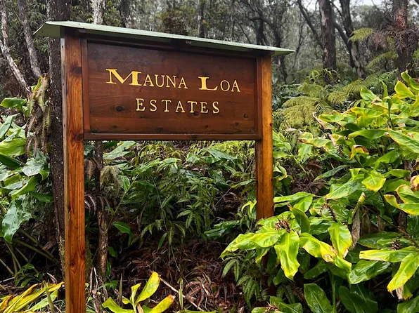 5th St Lot 431, Volcano, HI 96785