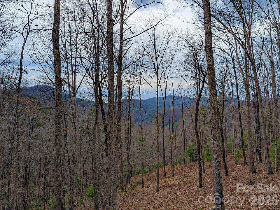 1st image of 51 Wild Turkey Loop #32