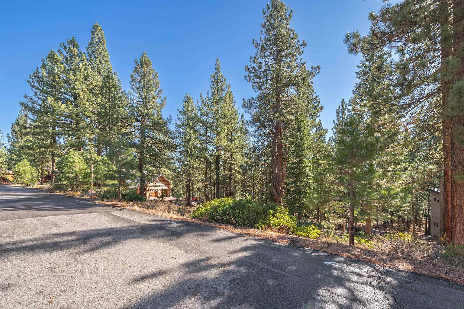 11925 Saddleback Dr photo 1