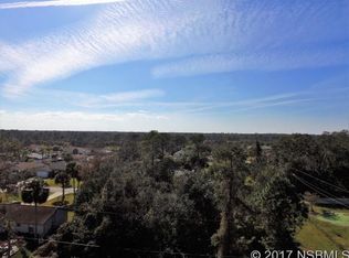 2000 Umbrella Tree Dr, Edgewater, FL 32141