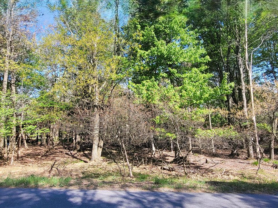1st image of D2019 Penn Forest Trl