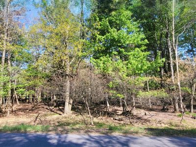 D2019 Penn Forest Trl, Albrightsville, PA, 18210