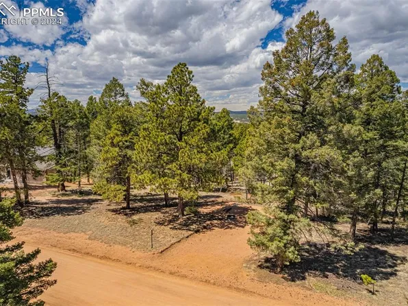 25 Eldorado Way, Florissant, CO 80816