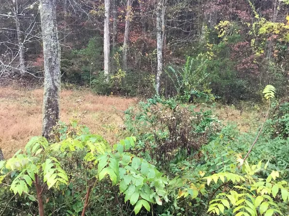 0 Paul Cooper Rd, Whittier, NC 28789