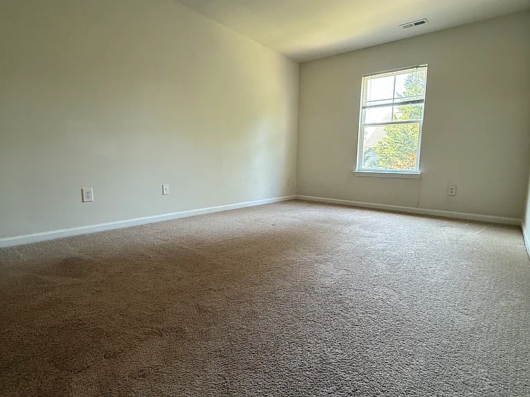 245 Linden Park Ln — Photo 23