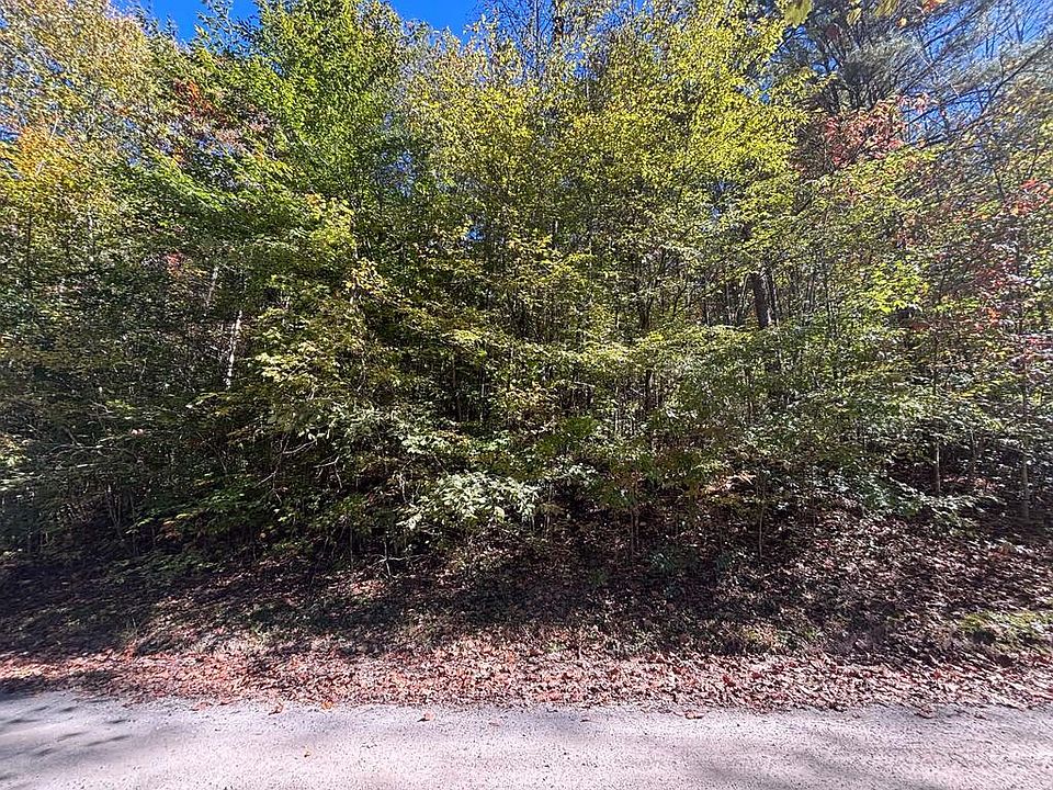 2nd image of 0 River Ln