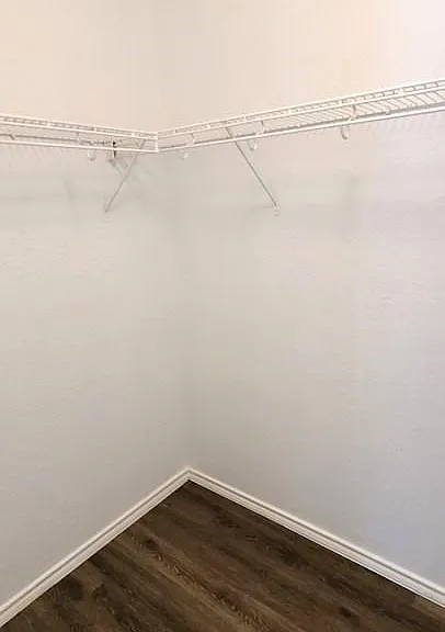 8506 Adams Hill Dr — Photo 15