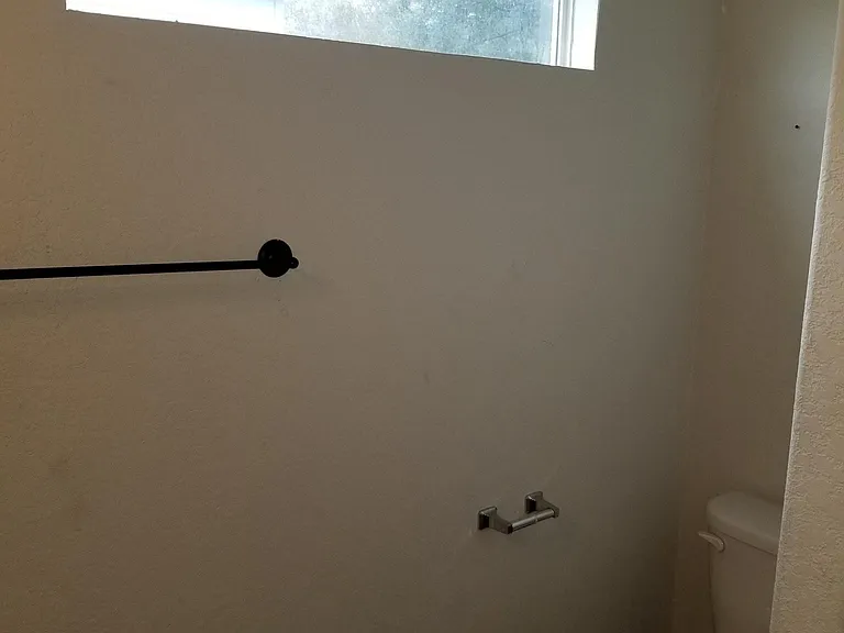 Master bathroom toilet