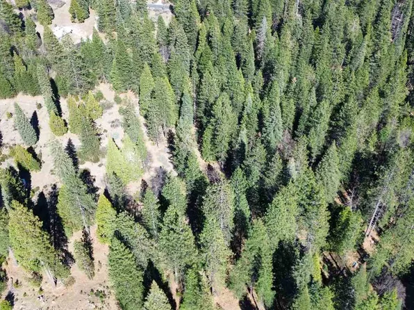1-M-11 Sisson Dr, McCloud, CA 96057