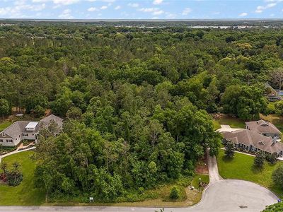 7077 Norne Ln #11, Mount Dora, FL, 32757