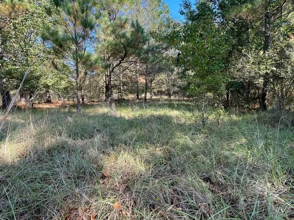 110 Willow Creek Blvd, Lugoff, SC 29078