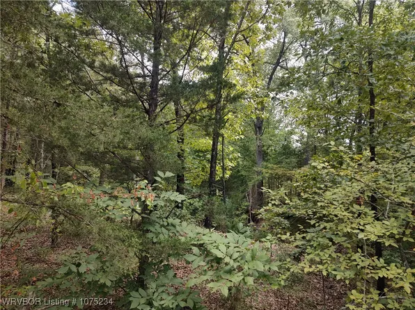 S Half Bank Rd, Atoka, OK 74525