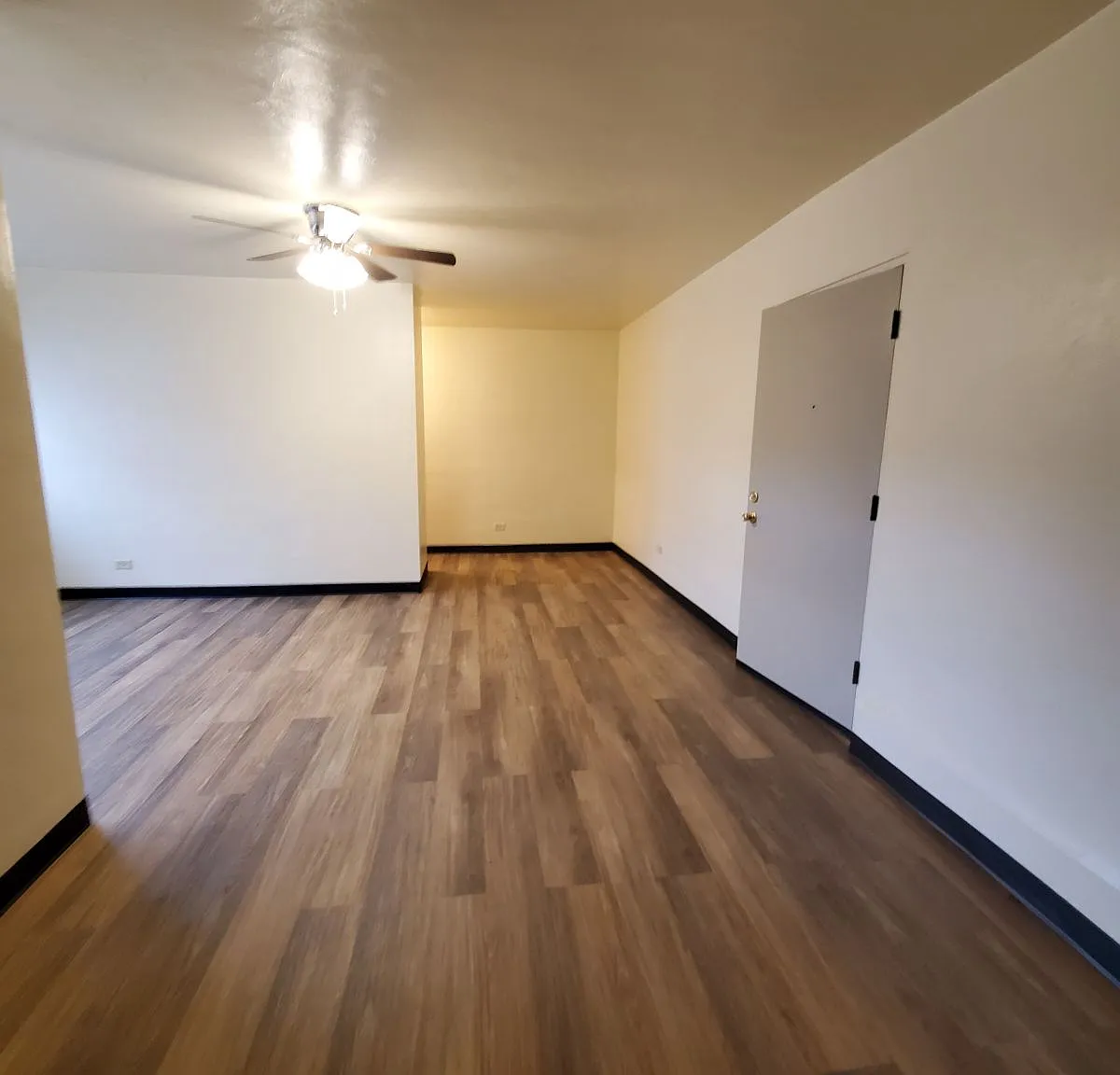 1 bed, 700 sqft, $800 — Photo 2
