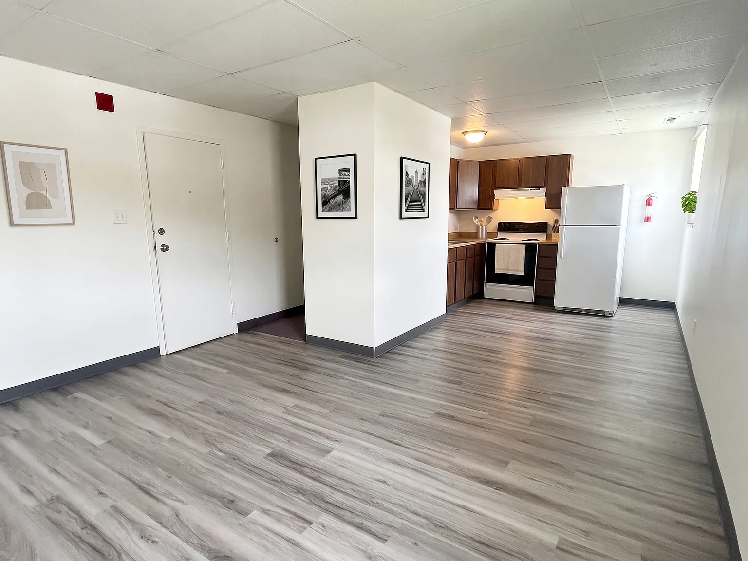 1 bed, $995 — Photo 3