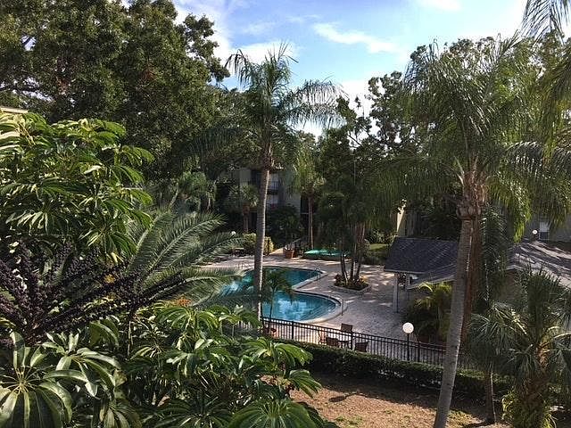 View from Balcony