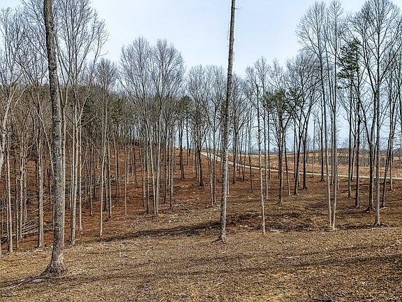 2nd image of 3689 Hazel Patch Rd