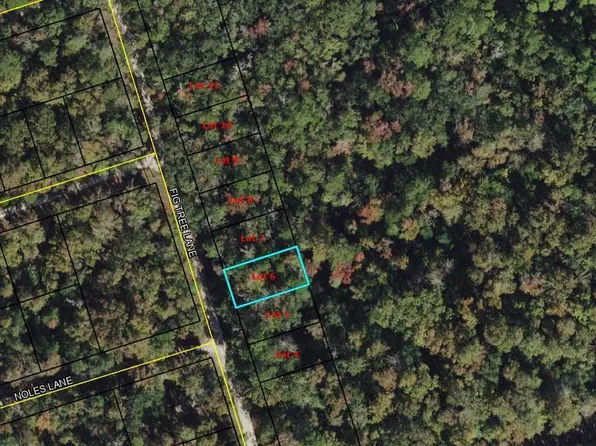6 Fig Tree Ln, Crawfordville, FL 32327