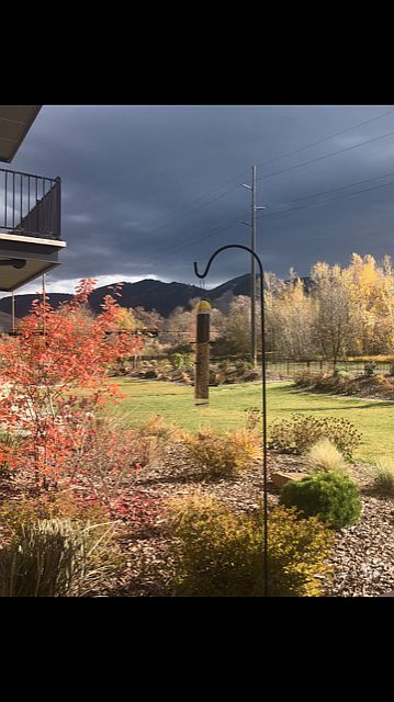 View off the back porch 