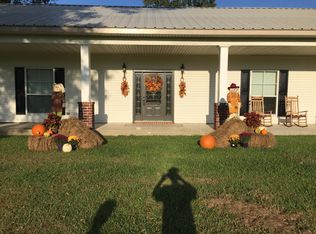 14982 Bear Island Rd, Maurepas, LA 70449