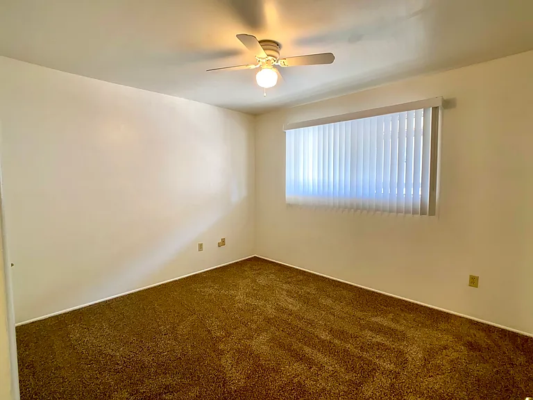 25422 Cole St — Photo 5