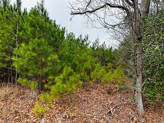 View of the parcel from Callis Field Lane.