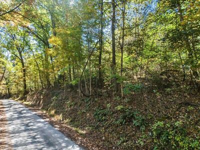 Dry Branch Rd, Pembroke, VA, 24136
