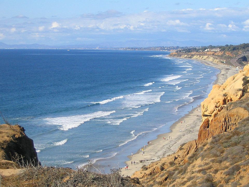 Neighborhood View from Torrey Pines