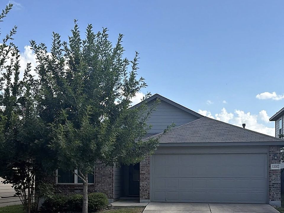 1st image of 13352 Sugarberry Elm