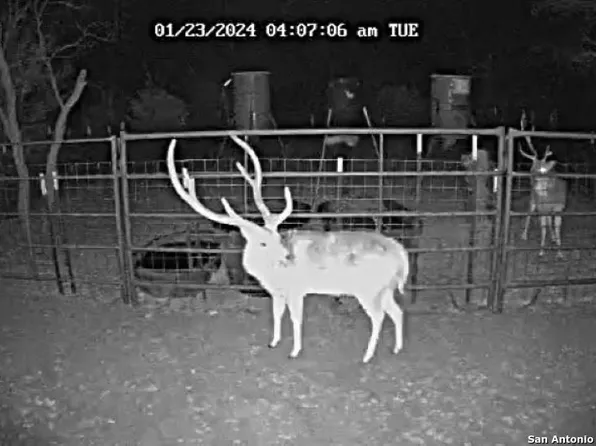 TBD SD 45300, Rocksprings, TX 78880