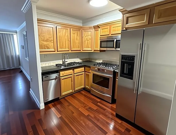 253 E Delaware Pl #21F — Photo 5
